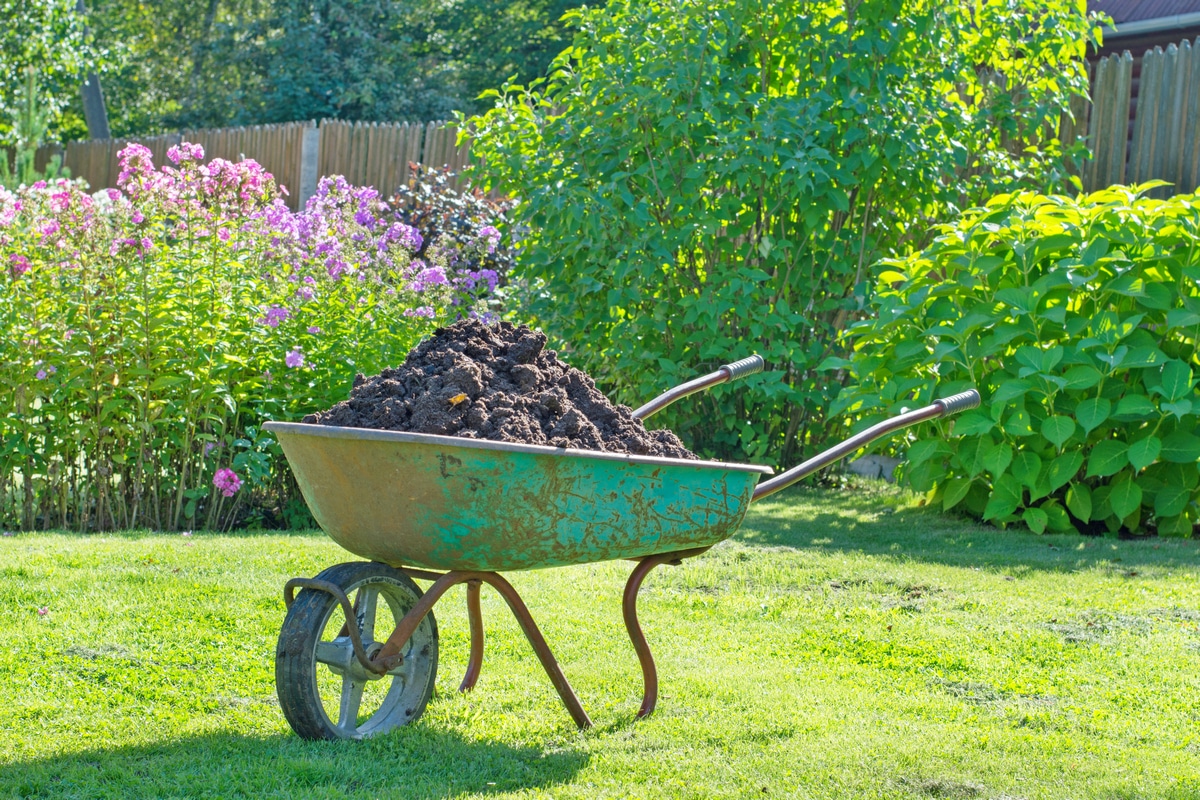 Composte pour pelouse